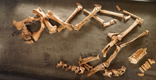 Grave site of an Icelandic man and his horse