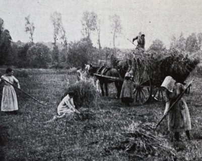 Photograph of female farm hands in Mosson, a commune in the Côte-d'Or department in eastern France