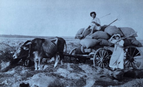 Jewish pioneer settlers in Hadera,