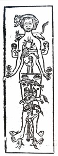 A blood-letting man, showing the points of the blood-letting connected with the signs of the Zodiac by Gregor Reisch
