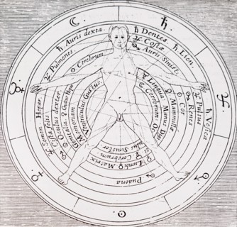 The organs of the body and the planets influences on them by Robert Fludd