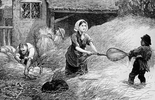 A family of peasants trussing hay for the London market