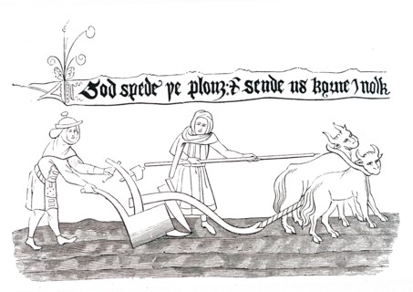 Ploughing in Anglo-Saxon times, with the use of Oxen as draught animals