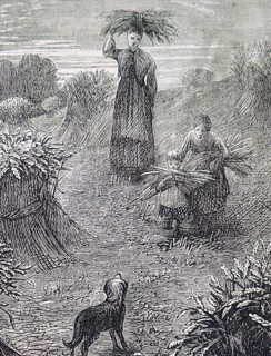 Gleaners