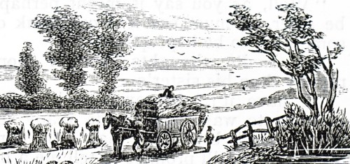 The carting of corn stalks to be stored