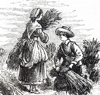 Farm workers tying corn into sheaves