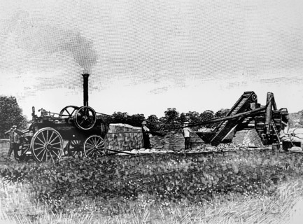 A steam driven threshing machine