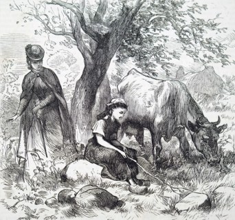 A cow girl in Vosges, a range of low mountains in Eastern France
