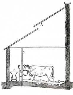 A diagram of a cow house in England
