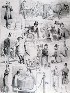Scenes from the dairy show at the Agricultural Hall in Islington, held by the British Dairy Farmer's Association