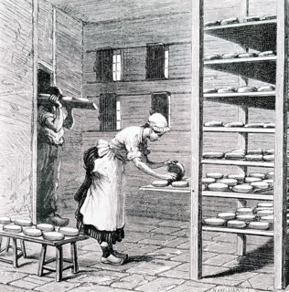 The making camembert cheese