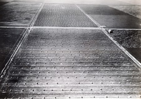Photograph taken of farming fields in the Netherlands