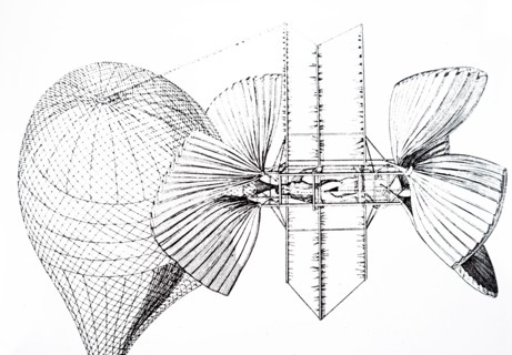 Guilaume'S navigable balloon