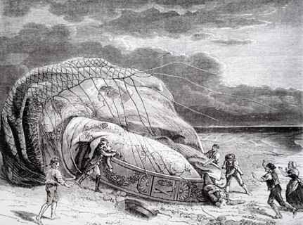 The fatal ballooning accident of Jean-François Pilâtre de Rozier