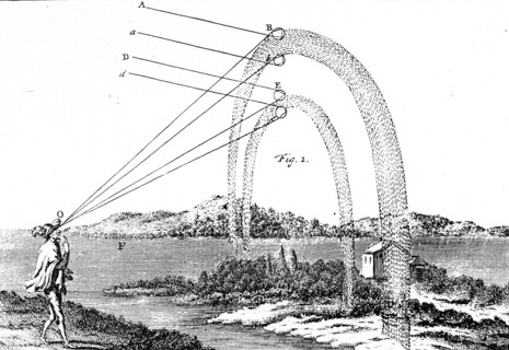 The formation of the rainbow by dispersion and total internal reflection