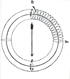 The studying of vortex rings