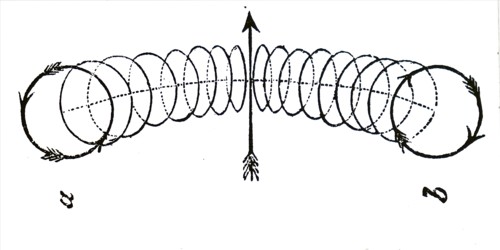 The studying of vortex rings