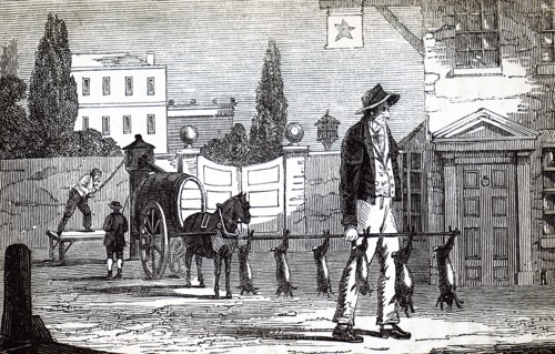 A man carrying hares and rabbits on a pole