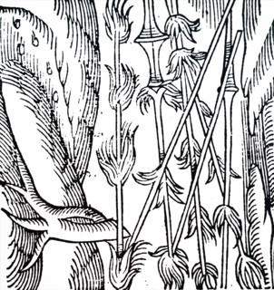 An ancient meteor shower shown as fiery lances
