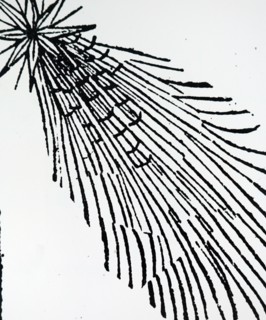 A bright comet flying over Europe during the 14th Century
