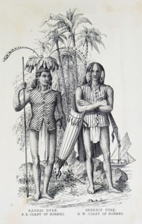 Dayak males performing daily tasks