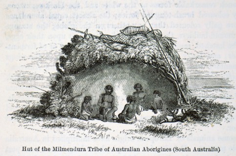 Australian aborigines of the Milmendura Tribe in their hut