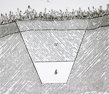 A drain covered in grass