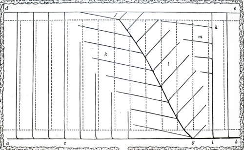 A ground plan for drainage of a field