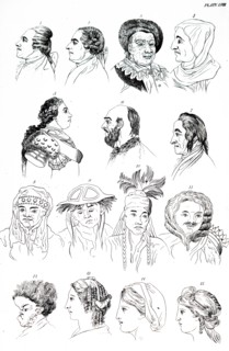 Profiles of different racial types