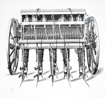 Moodie'S turnip drill