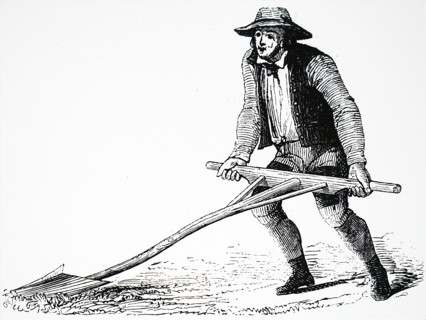 A farmer using a mollebart, or a levelling spade