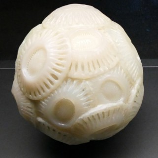 Model of a Diatom, a major group of algae