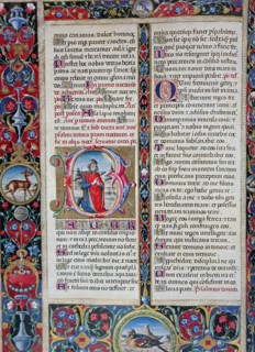 Illuminated page from the Historia Naturalis