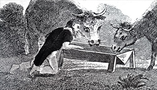 Mungo Park sharing the cattle's drinking water during his travels in Africa