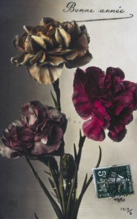 French Happy New Year, postcard with flowers