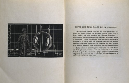 illustration by Max Ernst, for 'Misfortunes of the Immortals'