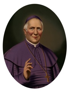 Portrait of Pope Pius IX