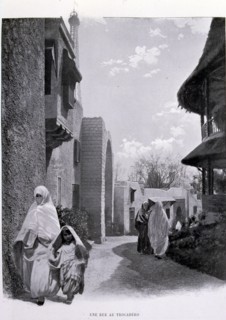 Photograph of a road going through the gardens of the Trocadero