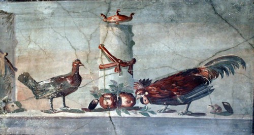 Wall freize from Pompeii, Naples, Italy