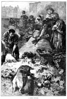 A London pigsty in "The Illustrated London News"