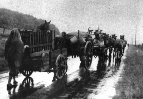France, Exodus, in the rain, of refugees leaving their town and homes