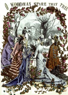 Herbier, "Woodman spare that tree"