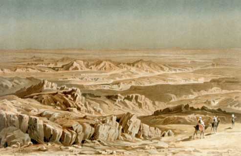 Paysage et caravane de chameaux