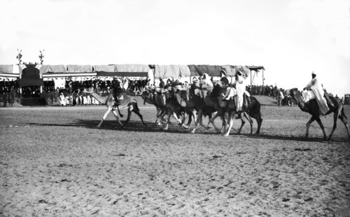 Voyage of President Millerand. Biskra. Final charge of the Tuareg warriors
