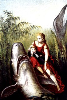 Journey to the bottom of the sea