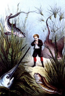 Journey to the bottom of the sea