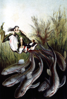 Journey to the bottom of the sea