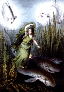 Journey to the bottom of the sea