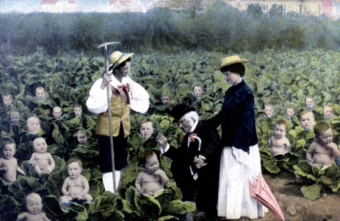 Bébés dans les choux (vers 1900)