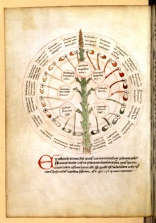 Treaties of hygiene and medicine, in French and Latine (15thC)